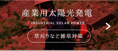 産業用太陽光発電 INDUSTRIAL SOLAR POWER 草刈りなど雑草対策